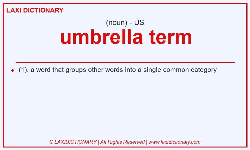 Definition umbrella term in American English