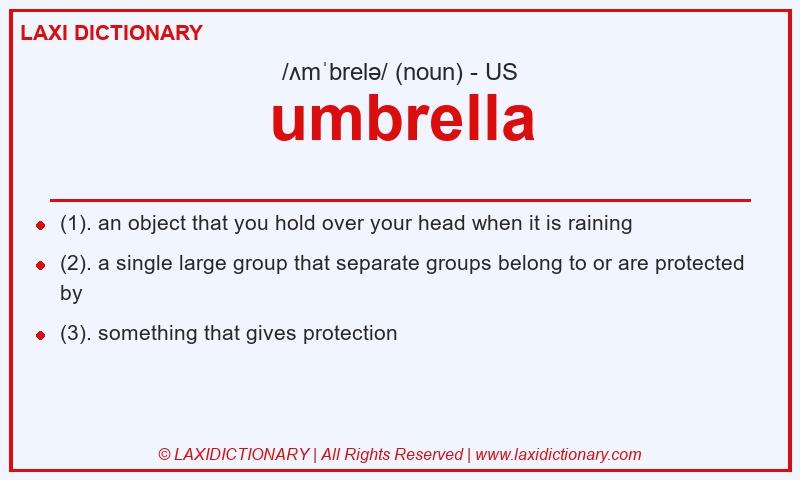 Definition umbrella in American English