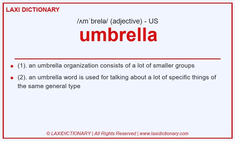 Definition umbrella in American English