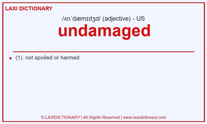 Definition undamaged in American English