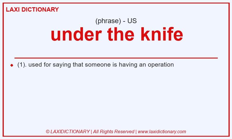Definition under the knife in American English