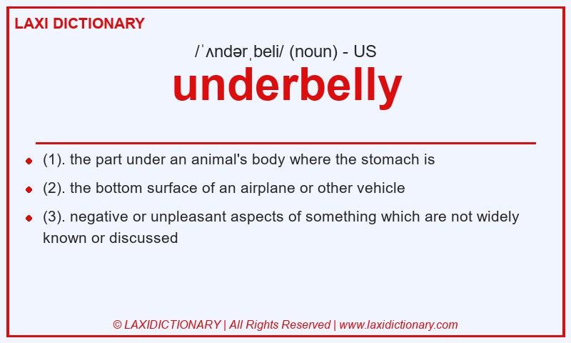 Definition underbelly in American English