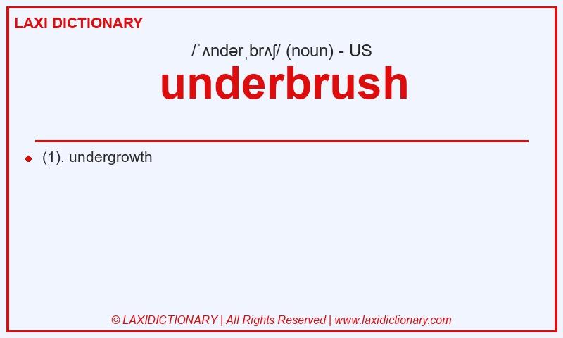 Definition underbrush in American English