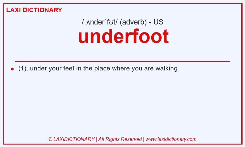 Definition underfoot in American English