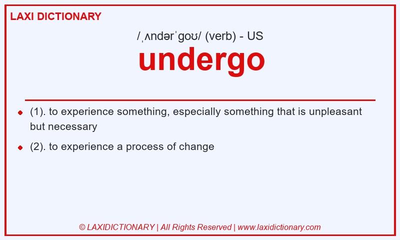 Definition undergo in American English