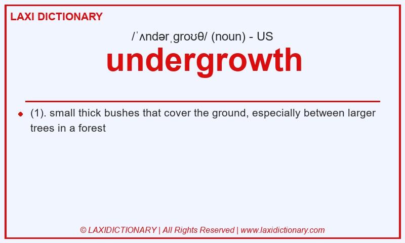 Definition undergrowth in American English