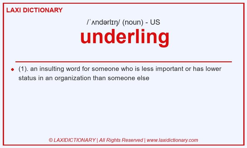 Definition underling in American English