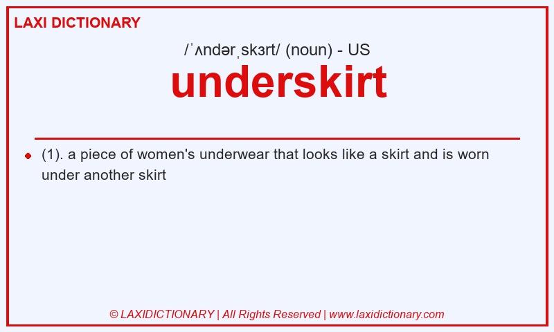 Definition underskirt in American English