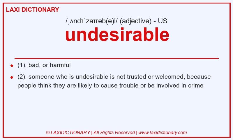 Definition undesirable in American English