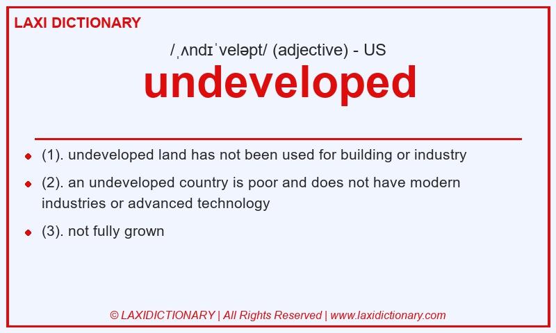 Definition undeveloped in American English