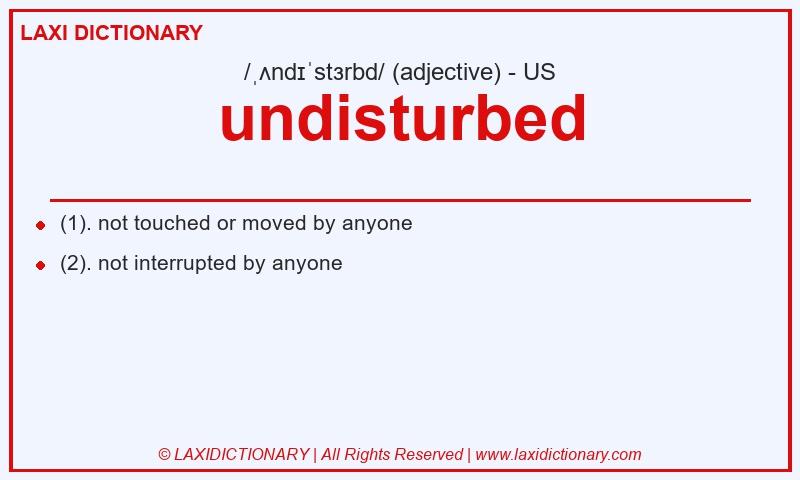 Definition undisturbed in American English