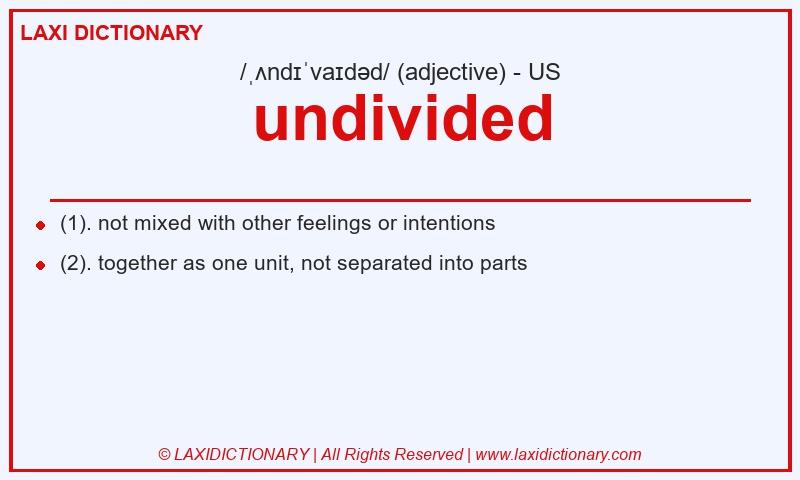 Definition undivided in American English