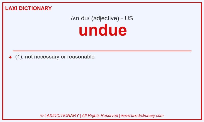 Definition undue in American English