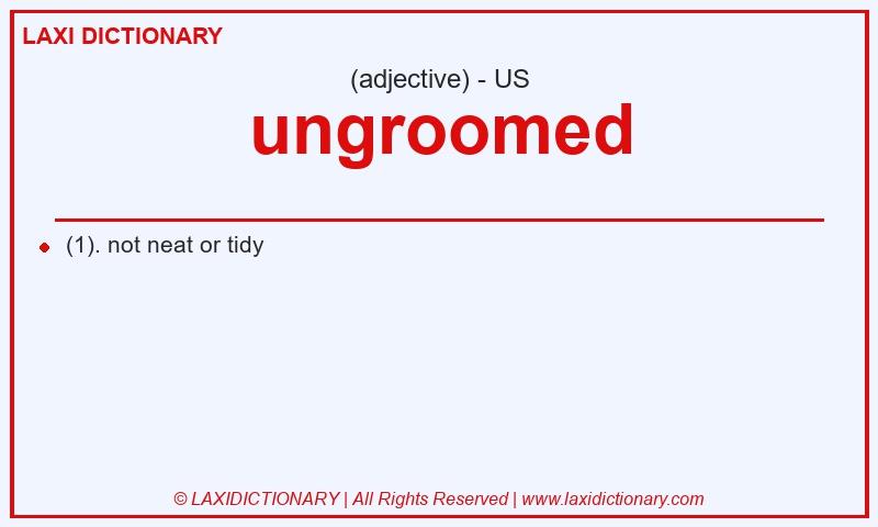 Definition ungroomed in American English