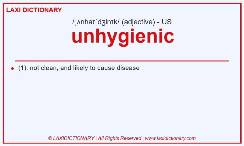 Definition unhygienic in American English