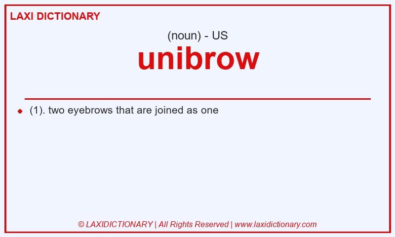 Definition unibrow in American English