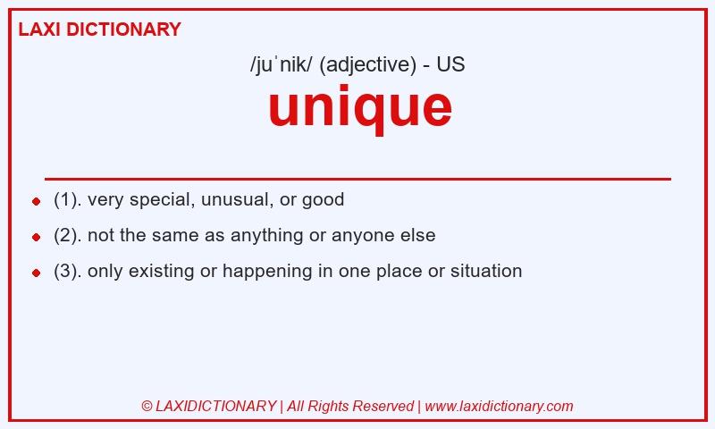 Definition unique in American English