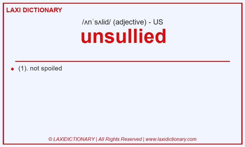 Definition unsullied in American English