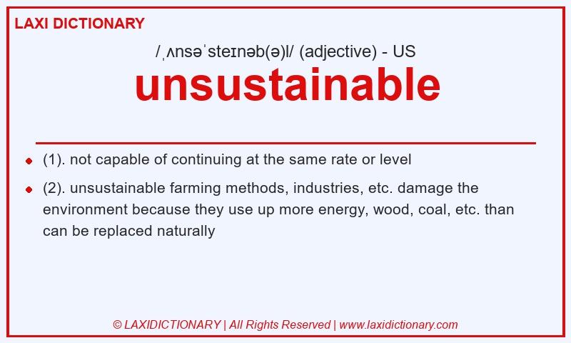 Definition unsustainable in American English