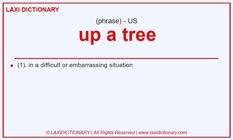 Definition up a tree in American English