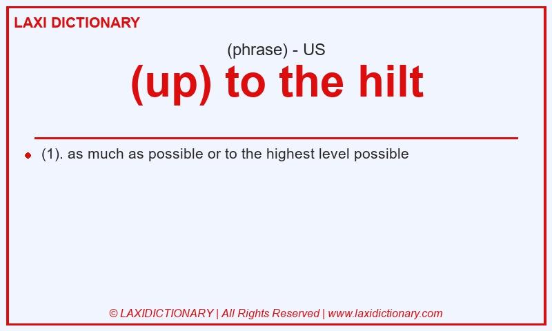 Definition (up) to the hilt in American English