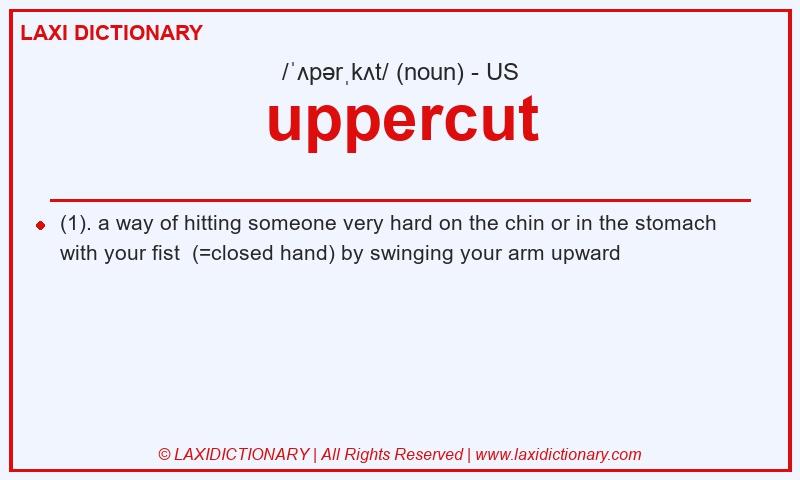 Definition uppercut in American English
