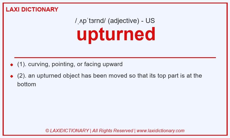 Definition upturned in American English