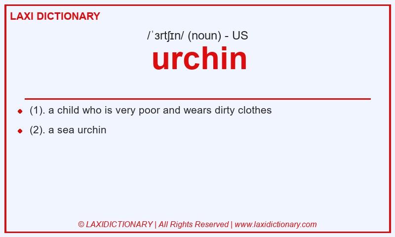Definition urchin in American English