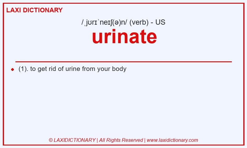 Definition urinate in American English