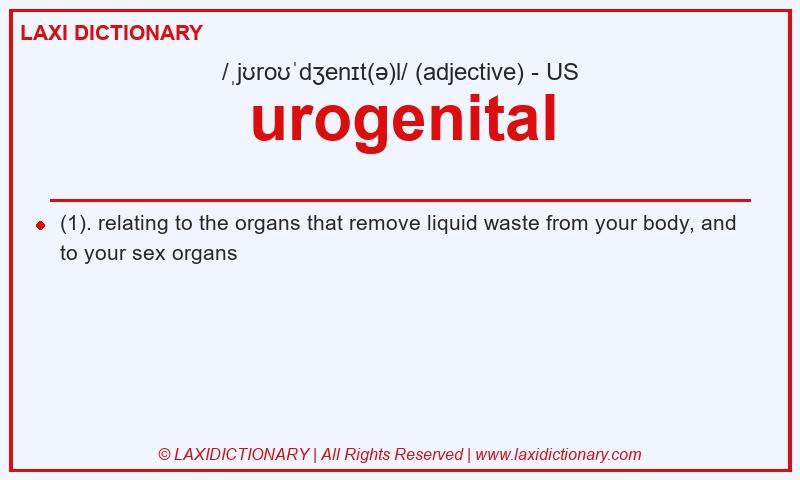 Definition urogenital in American English