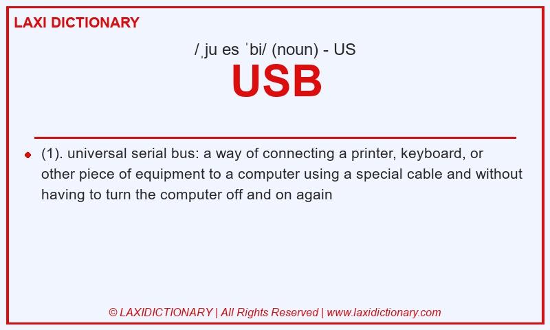 Definition USB in American English