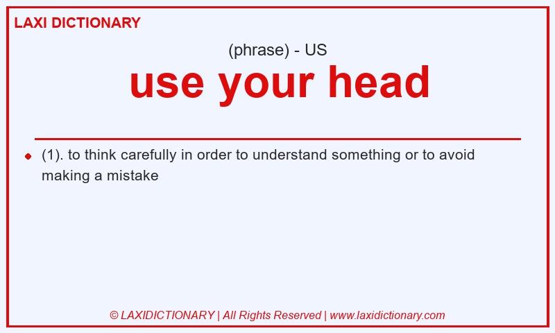 Definition use your head in American English