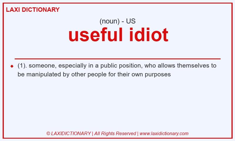 Definition useful idiot in American English