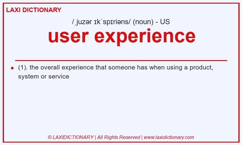 Definition user experience in American English