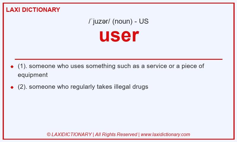 Definition user in American English
