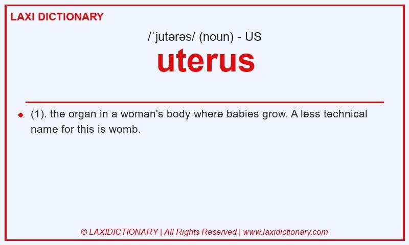 Definition uterus in American English