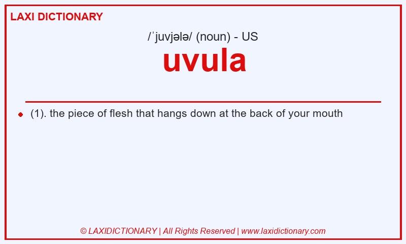 Definition uvula in American English