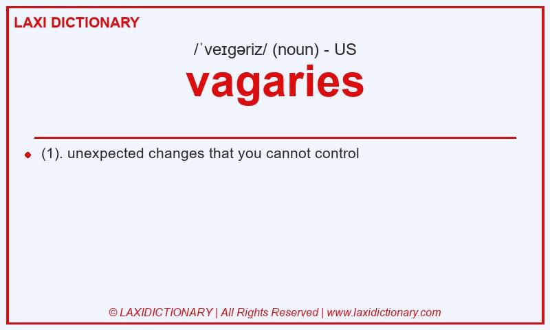 Definition vagaries in American English