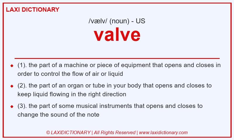 Definition valve in American English