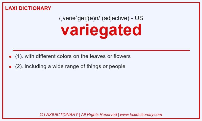 Definition variegated in American English