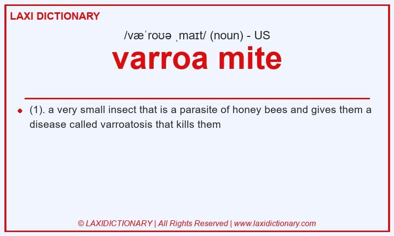 Definition varroa mite in American English