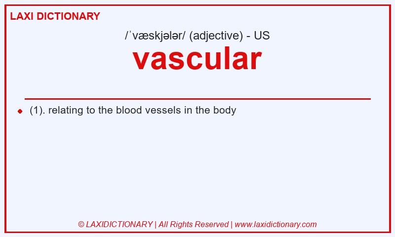 Definition vascular in American English