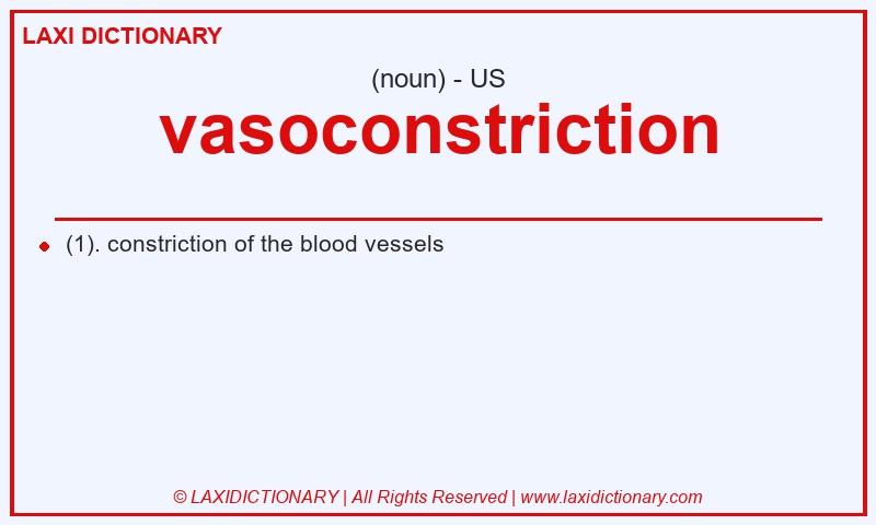 Definition vasoconstriction in American English