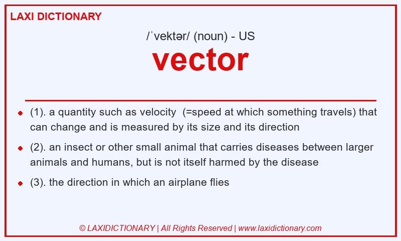 Definition vector in American English