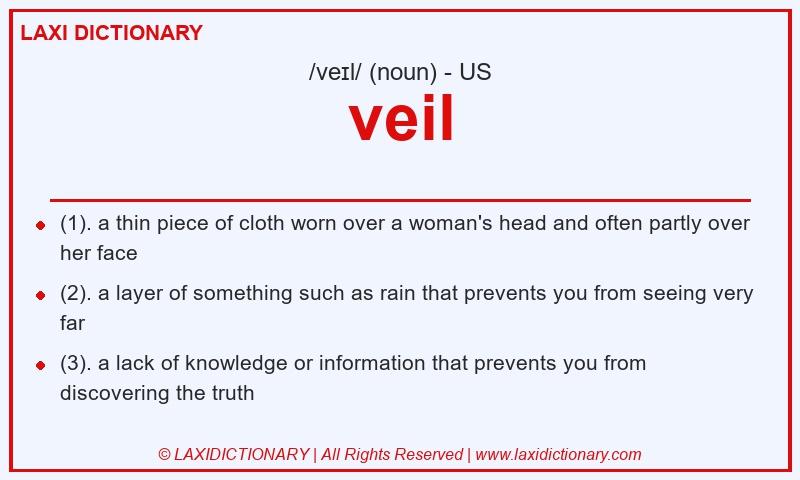 Definition veil in American English