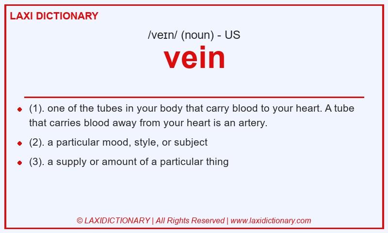 Definition vein in American English