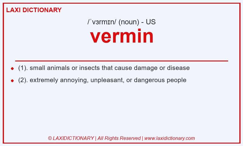 Definition vermin in American English