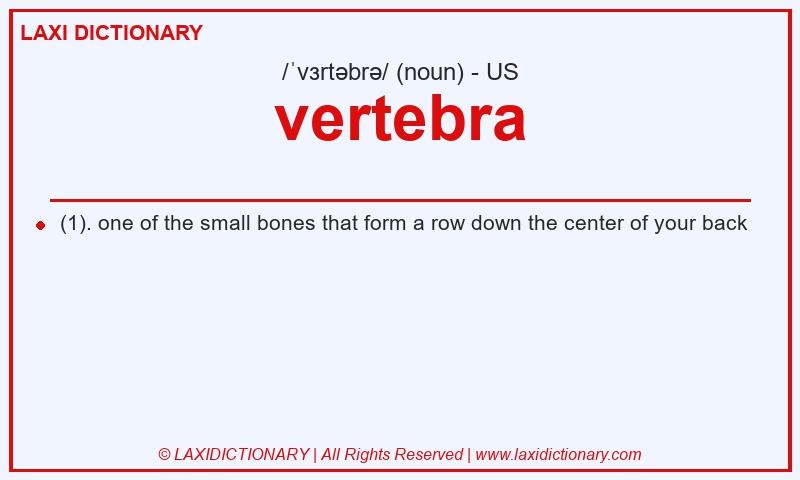 Definition vertebra in American English