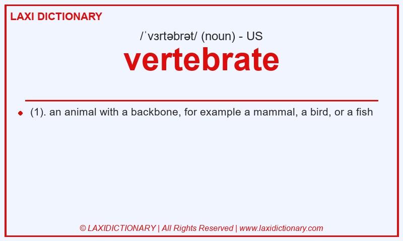 Definition vertebrate in American English