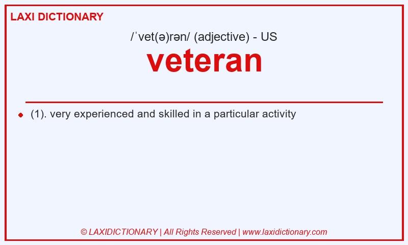 Definition veteran in American English